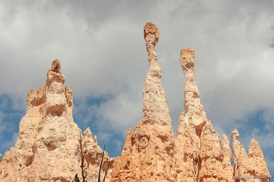 Ювелирная работа. Как думаете, сколько еще времени продержатся эти шпили? Ювелирная работа. Как думаете, сколько еще времени продержатся эти шпили?