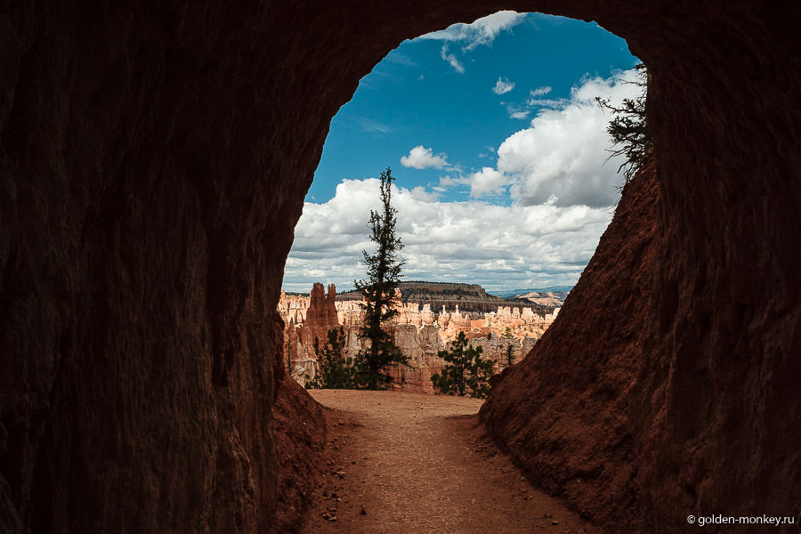 Искусственный туннель. Я-то думала, что в парке ничего нельзя трогать. Видимо, ради удобства пришлось идти на жертвы. Искусственный туннель. Я-то думала, что в парке ничего нельзя трогать. Видимо, ради удобства пришлось идти на жертвы.