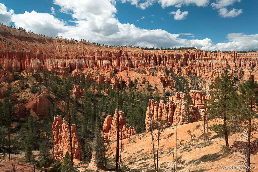 Кроме того, перед закатом все вокруг становится еще более рельефным. Кроме того, перед закатом все вокруг становится еще более рельефным.