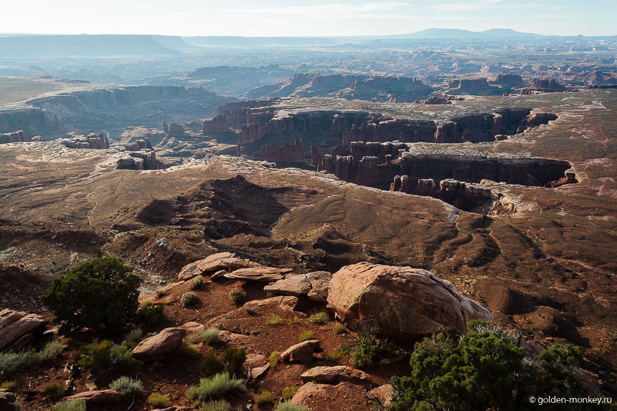 Глядя на пейзажи, кажется, будто множество гигантских грызунов впились некогда своими огромными зубами в тело каньона и оставили его разорванную плоть, сбежав от внезапной опасности. Похоже на аннотацию к фильму ужасов, но примерно такие ассоциации вызывают предстающие взору виды )) Глядя на пейзажи, кажется, будто множество гигантских грызунов впились некогда своими огромными зубами в тело каньона и оставили его разорванную плоть, сбежав от внезапной опасности. Похоже на аннотацию к фильму ужасов, но примерно такие ассоциации вызывают предстающие взору виды ))