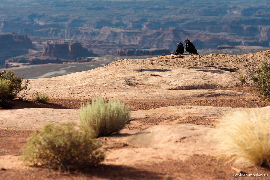 Кому-то для того, чтобы любоваться парком не нужен входной билет )) Кому-то для того, чтобы любоваться парком не нужен входной билет ))
