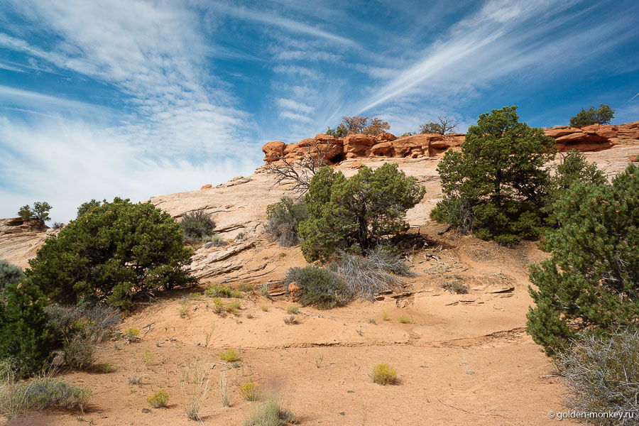 Трейл весьма красочный, но не слишком захватывающий, так что вполне можно выбрать другой. В данном случае дня нас главным преимуществом была его небольшая протяженность, так как уходить в поход на несколько часов времени не было. Трейл весьма красочный, но не слишком захватывающий, так что вполне можно выбрать другой. В данном случае дня нас главным преимуществом была его небольшая протяженность, так как уходить в поход на несколько часов времени не было.