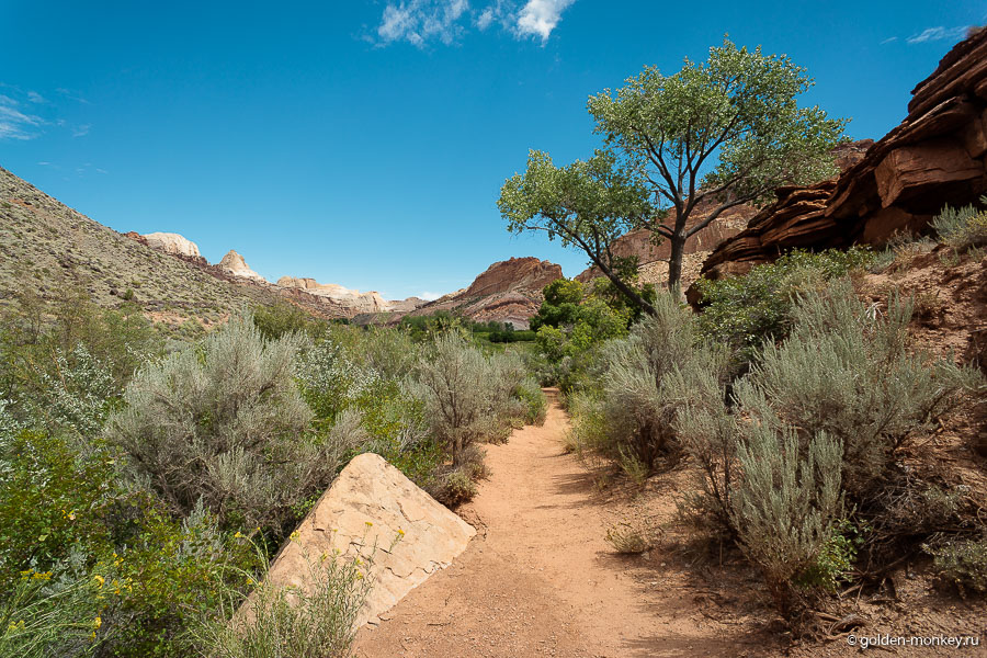 Тропа Фримонт-Ривер утоптанная и комфортная особенно в первой половине пути, пока не начинаются подъемы, ведущие на вершину взгорка. Тропа Фримонт-Ривер утоптанная и комфортная особенно в первой половине пути, пока не начинаются подъемы, ведущие на вершину взгорка.