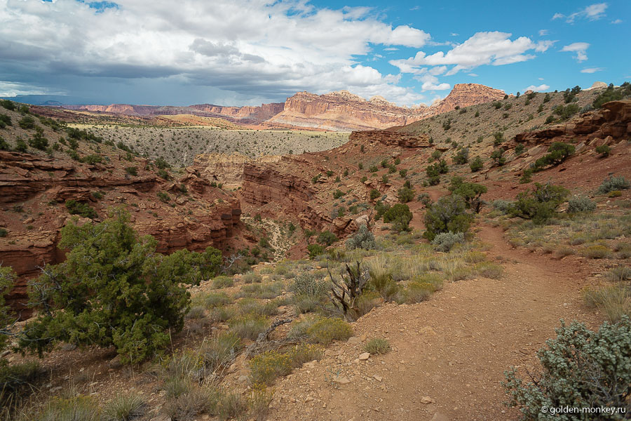 Гуляя только по первому трейлу, мы уже поняли, что однозначно не зря заглянули в Капитол-Риф! В самом конце тропы поджидал живописнейший панорамный вид на каньон. Гуляя только по первому трейлу, мы уже поняли, что однозначно не зря заглянули в Капитол-Риф! В самом конце тропы поджидал живописнейший панорамный вид на каньон.