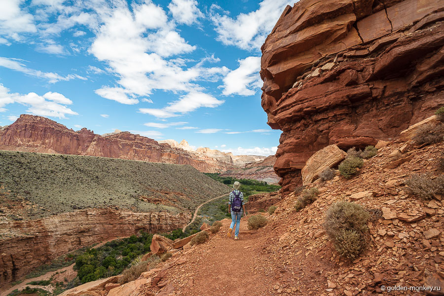 Одним из больших плюсов было то, что за весь путь нам не повстречался ни один человек, так что мы чувствовали себя единственными покорителями вершины )) Одним из больших плюсов было то, что за весь путь нам не повстречался ни один человек, так что мы чувствовали себя единственными покорителями вершины ))
