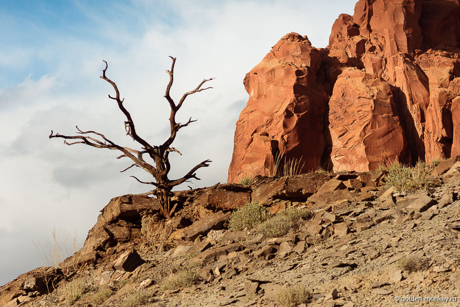 Одним словом, пустыня. За пределами русла реки в районе Фрута сочная зелень в парке по большей части отсутствует. Кстати, днем на тенёк в этом трейле не рассчитывайте, его нет, так что захватите шляпу и побольше воды – пригодится. Одним словом, пустыня. За пределами русла реки в районе Фрута сочная зелень в парке по большей части отсутствует. Кстати, днем на тенёк в этом трейле не рассчитывайте, его нет, так что захватите шляпу и побольше воды – пригодится.