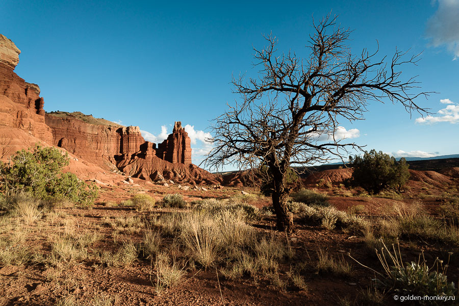 Поверьте, даже миллион фотографий не способны передать атмосферу здешних мест, так что отправляйтесь на самостоятельное изучение парка Капитол-Риф, не пожалеете. Поверьте, даже миллион фотографий не способны передать атмосферу здешних мест, так что отправляйтесь на самостоятельное изучение парка Капитол-Риф, не пожалеете.