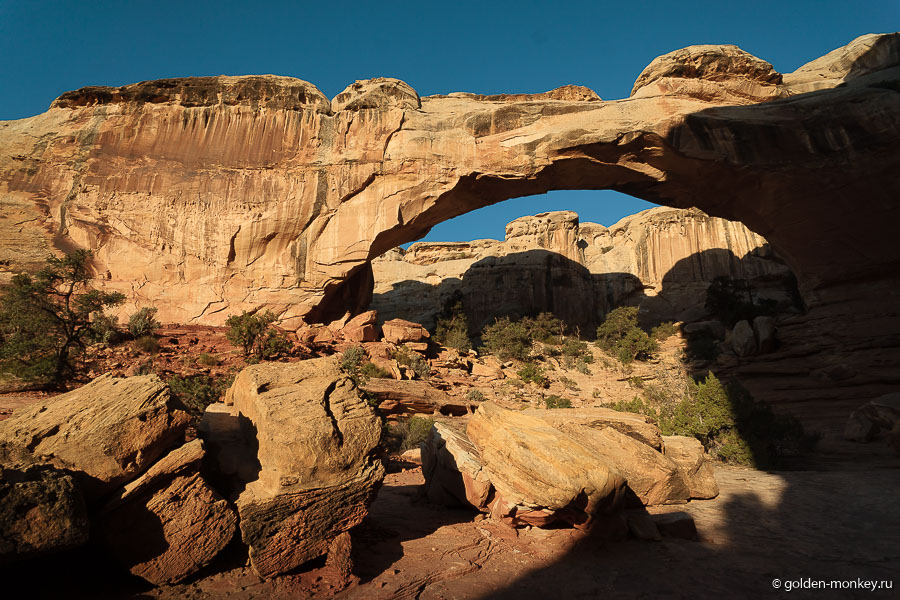 Мост Хикмана – это огромная природная арка, поражающая своими размерами. Ее высота равняется тридцати семи, а ширина – сорока метрам. Названа она в честь Джозефа Хикмана, который был здешним школьным администратором и правоведом. Он очень ратовал за сохранение данного региона, который прозвал «Землей чудес Вэйна». Трейл не особенно сложный и не слишком живописный на всем своем протяжении, но ради моста прогуляться можно, хотя, если вы уже побывали в парке Арок, в новинку он не будет. Мост Хикмана – это огромная природная арка, поражающая своими размерами. Ее высота равняется тридцати семи, а ширина – сорока метрам. Названа она в честь Джозефа Хикмана, который был здешним школьным администратором и правоведом. Он очень ратовал за сохранение данного региона, который прозвал «Землей чудес Вэйна». Трейл не особенно сложный и не слишком живописный на всем своем протяжении, но ради моста прогуляться можно, хотя, если вы уже побывали в парке Арок, в новинку он не будет.