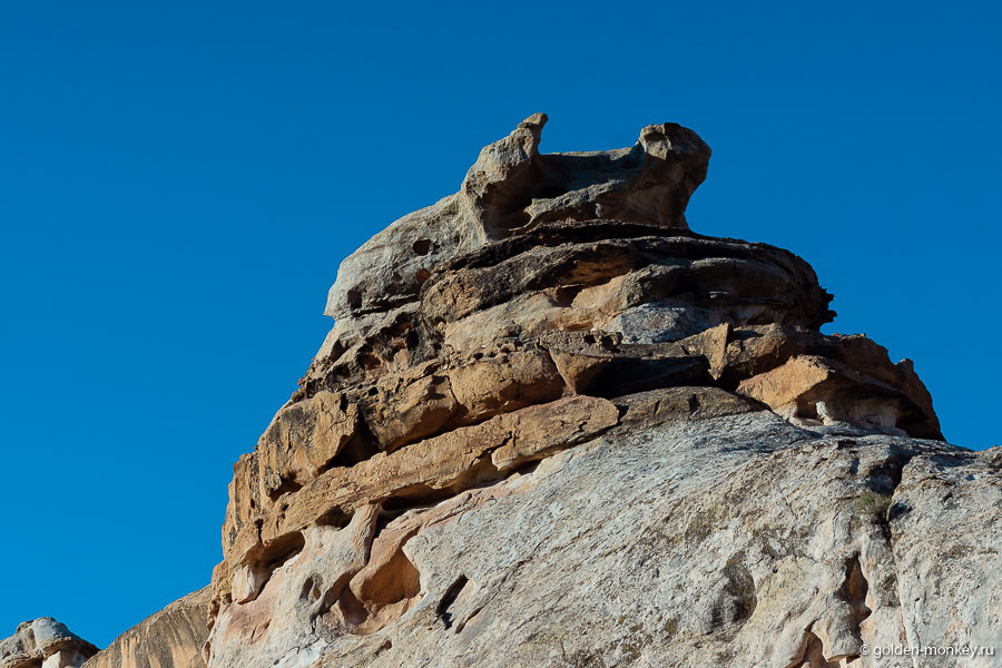 По пути встречаются и другие интересные природные экспонаты. Как по-вашему, на что похоже? По пути встречаются и другие интересные природные экспонаты. Как по-вашему, на что похоже?