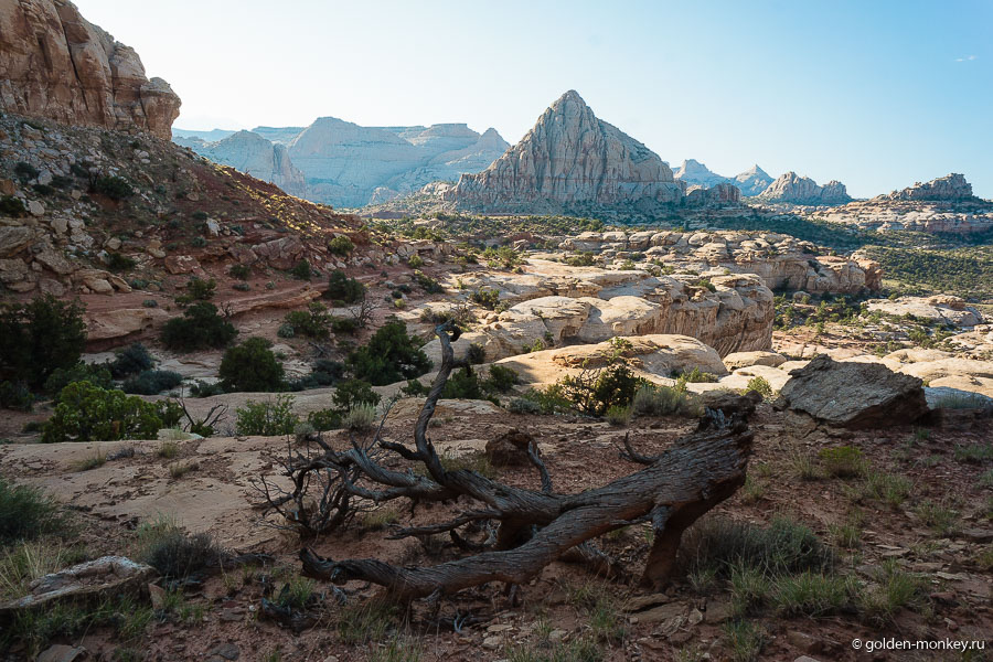 очевидно, вдалеке красуется один из парковых «рифов». Хотя, больше на плавник акулы похоже )) очевидно, вдалеке красуется один из парковых «рифов». Хотя, больше на плавник акулы похоже ))