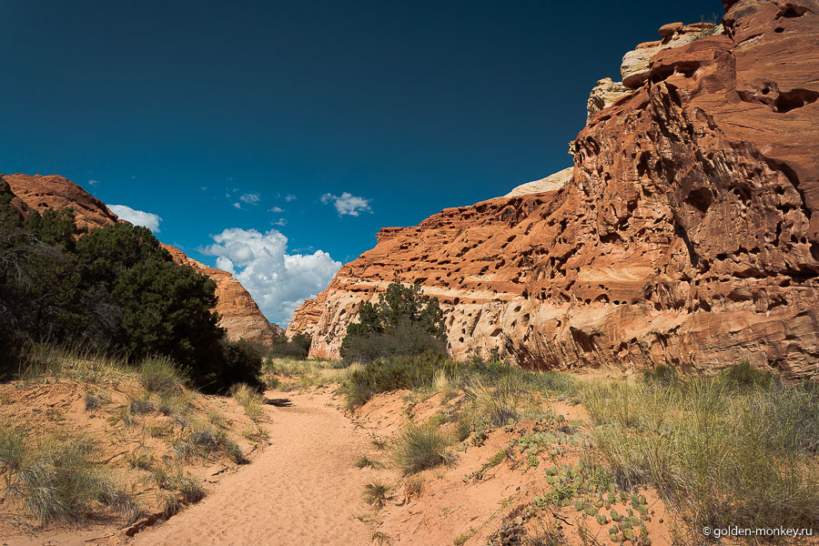 Те самые дырявые горки в каньоне Cohab. Весьма фотогеничные образования. Каким образом они получились именно такими, какими получились осталось для нас загадкой. Может, кто подскажет? Те самые дырявые горки в каньоне Cohab. Весьма фотогеничные образования. Каким образом они получились именно такими, какими получились осталось для нас загадкой. Может, кто подскажет?