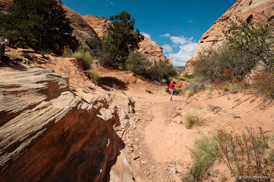 И вновь ни души, за весь путь повстречали лишь несколько коллег. Эх, нравятся мне уединенные тропинки. И вновь ни души, за весь путь повстречали лишь несколько коллег. Эх, нравятся мне уединенные тропинки.