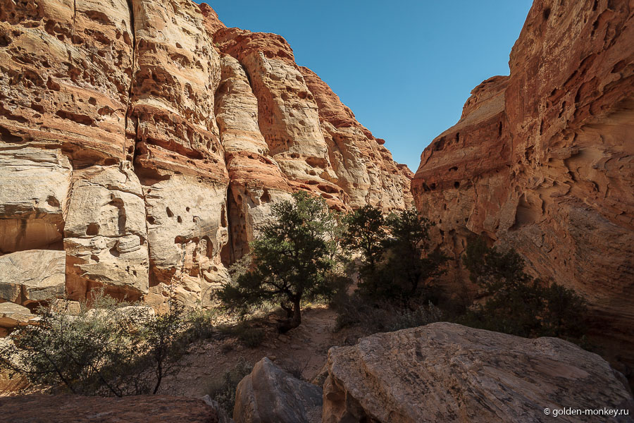 Трейл не сложный, практически без «взлетов и падений», только если решите начать осматривать его со стороны кемпинга, придется преодолеть весьма крутой подъем. Трейл не сложный, практически без «взлетов и падений», только если решите начать осматривать его со стороны кемпинга, придется преодолеть весьма крутой подъем.
