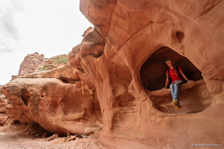 Дырявые скалы здесь становятся еще дырявее, а оранжевый песчаник еще ярче. Во уж действительно «земля чудес». Кстати, нечто похожее уже встречалось нам в Долине Огня неподалеку от Лас-Вегаса (очень красивый парк, про него тоже есть статьи в блоге). Дырявые скалы здесь становятся еще дырявее, а оранжевый песчаник еще ярче. Во уж действительно «земля чудес». Кстати, нечто похожее уже встречалось нам в Долине Огня неподалеку от Лас-Вегаса (очень красивый парк, про него тоже есть статьи в блоге).