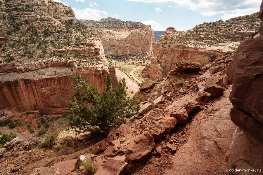 Один из тех случаев, когда трейл интересен от начала и до конца, потому как виды постоянно меняются и появляется что-то новенькое. Один из тех случаев, когда трейл интересен от начала и до конца, потому как виды постоянно меняются и появляется что-то новенькое.