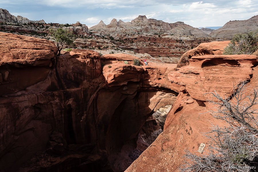 Ну, и конечно же, сама арка Кэссиди в качестве завершающего аккорда. К ее подножию простым смертным спуститься не удастся, поэтому любоваться придется сверху. Если вы увлекаетесь экстремальным скалолазанием, то на дно можно спуститься со спец. снаряжением. Ну, и конечно же, сама арка Кэссиди в качестве завершающего аккорда. К ее подножию простым смертным спуститься не удастся, поэтому любоваться придется сверху. Если вы увлекаетесь экстремальным скалолазанием, то на дно можно спуститься со спец. снаряжением.