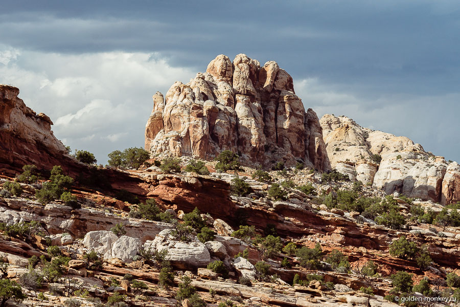 Часам к четырем-пяти после полудня наступают так называемые «золотые часы» – идеальное время для создания фотошедевров. Освещение самое что ни на есть подходящее. Часам к четырем-пяти после полудня наступают так называемые «золотые часы» – идеальное время для создания фотошедевров. Освещение самое что ни на есть подходящее.