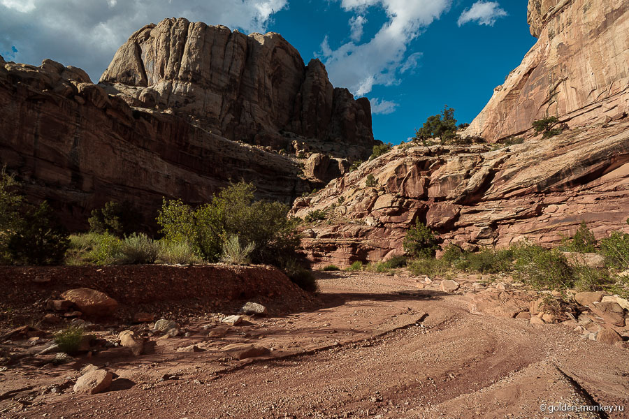 Каньон Grand Wash Trail, национальный парк Капитол-Риф. Каньон Grand Wash Trail, национальный парк Капитол-Риф.