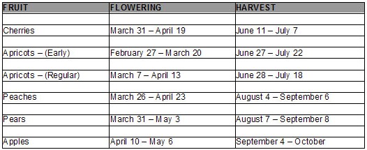 Табличка с датами цветения садов в Капитол-Рифе и сбора урожая. Табличка с датами цветения садов в Капитол-Рифе и сбора урожая.