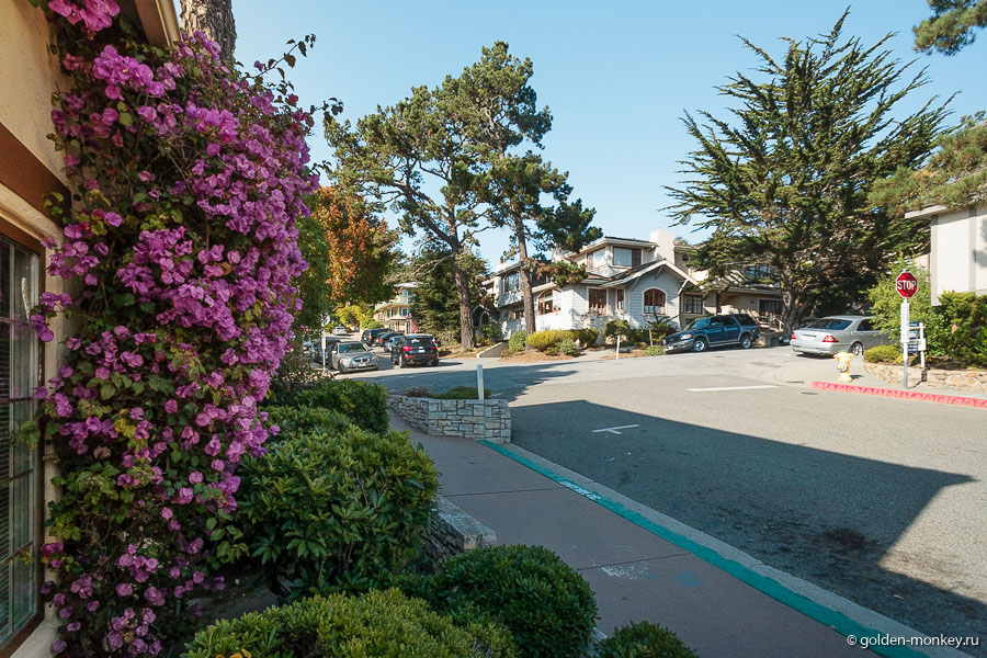 Кажется, за пределами главной улицы жизнь течет тихо и размеренно. Никакой спешки, ни намека на суету. Кажется, за пределами главной улицы жизнь течет тихо и размеренно. Никакой спешки, ни намека на суету.