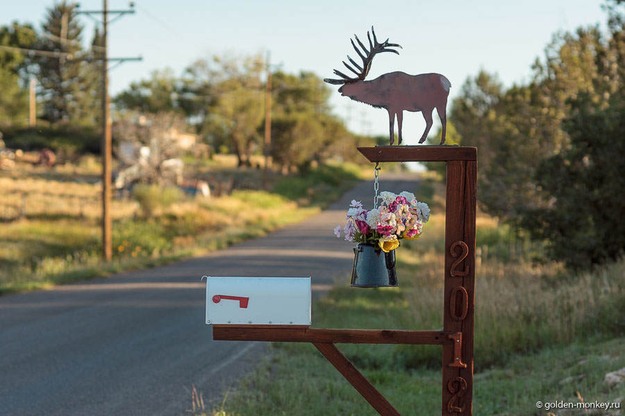 Лось без чайника с цветами – что свадьба без гармошки! Лось без чайника с цветами – что свадьба без гармошки!
