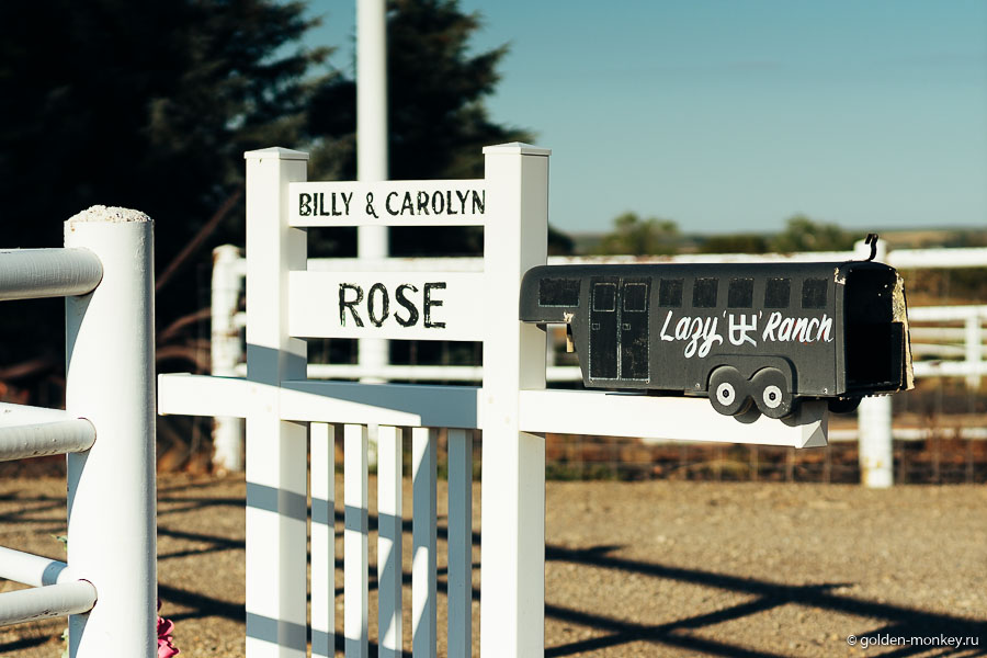 Почтовые ящики всех возможных форм, но примерно одинакового размера. Почтовые ящики всех возможных форм, но примерно одинакового размера.