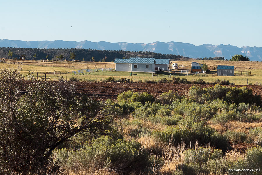 Часто дома очень далеко расположены друг от друга. Любят американцы простор. Часто дома очень далеко расположены друг от друга. Любят американцы простор.