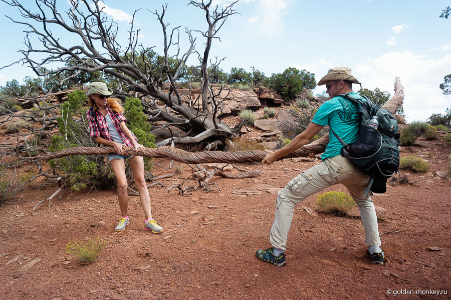 Шеболдасик и Андрюсикс в парке штата Голова Мертвой Лошади. Шеболдасик и Андрюсикс в парке штата Голова Мертвой Лошади.