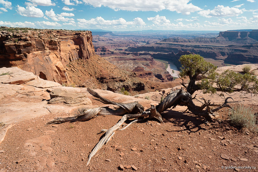 Панорамный вид из парка Мертвой Лошади, Юта, США. Панорамный вид из парка Мертвой Лошади, Юта, США.