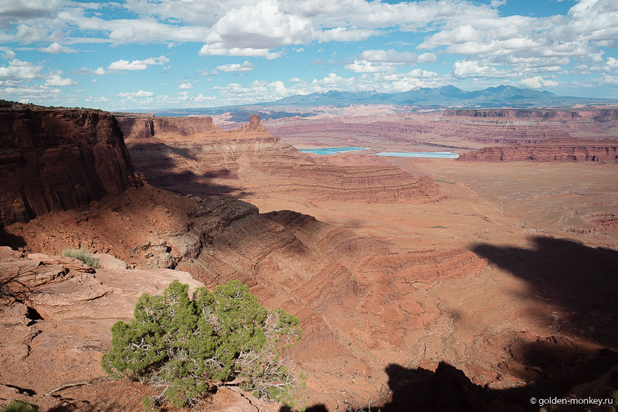 На востоке пейзажи не сильно поменялись относительно тех, что мы видели у Visitor Center – все те же соляные поля и красно-оранжевые земли. На востоке пейзажи не сильно поменялись относительно тех, что мы видели у Visitor Center – все те же соляные поля и красно-оранжевые земли.