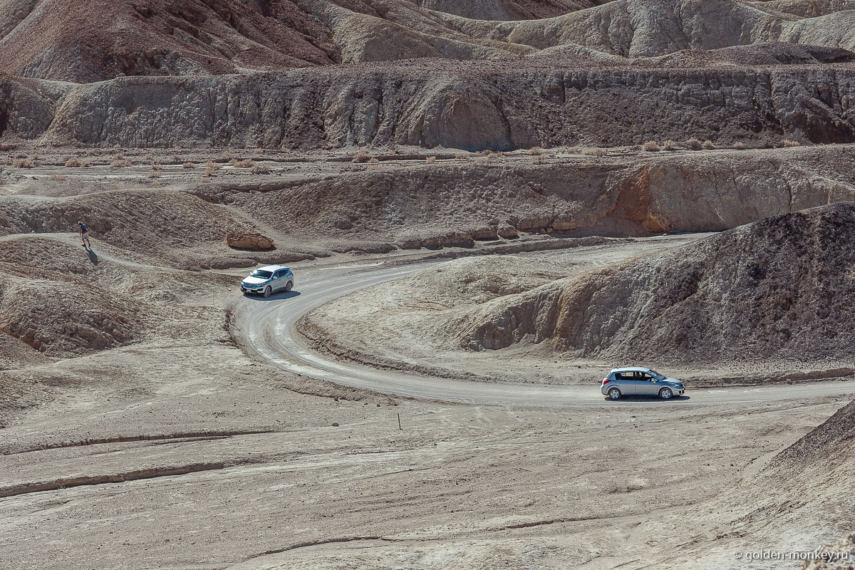 В июле в парке очень жарко, поэтому посетителей не слишком много В июле в парке очень жарко, поэтому посетителей не слишком много