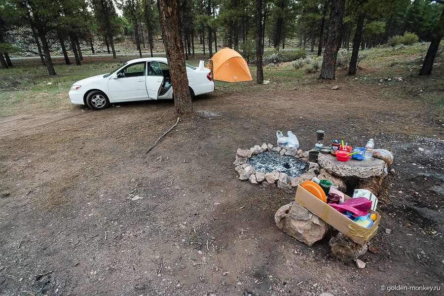 Наше палаточное место в Kaibab National Forest Наше палаточное место в Kaibab National Forest