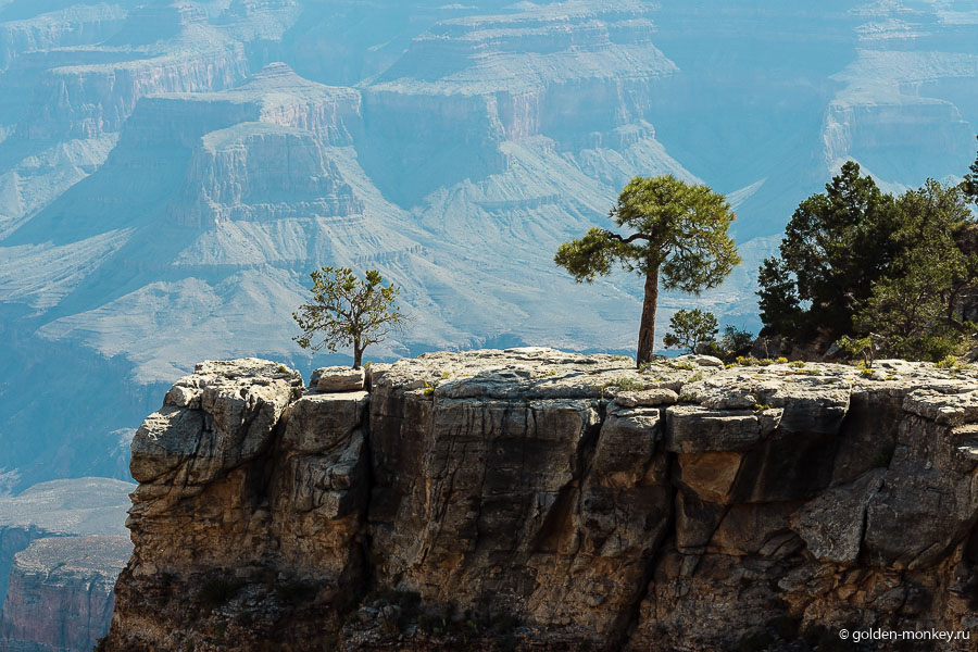 Небольшие детали на фоне огромного каньона выглядят особенно эффектно Небольшие детали на фоне огромного каньона выглядят особенно эффектно