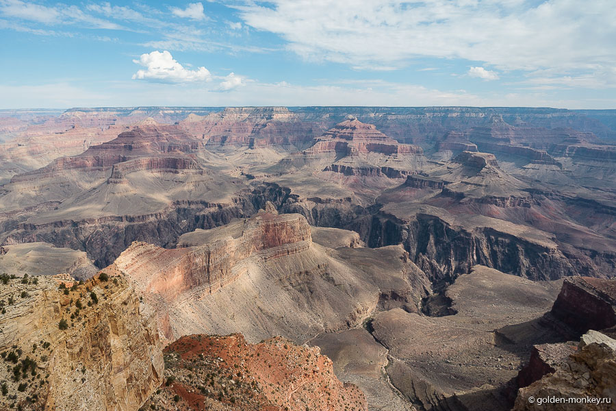 Цветовая гамма рельефа очень насыщена, а рельеф напоминает ажурные узоры кружев Цветовая гамма рельефа очень насыщена, а рельеф напоминает ажурные узоры кружев