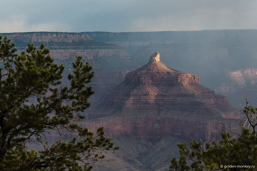 Андрюсикс любит подмечать всевозможные детали, вот и тут не прошел мимо очаровательного пыптика )) Андрюсикс любит подмечать всевозможные детали, вот и тут не прошел мимо очаровательного пыптика ))