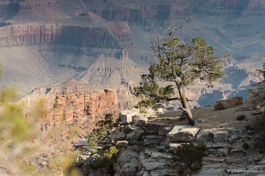 На самом деле, Рим-Трейл весьма однообразен – каньон, каньон, каньон. Ну, впрочем, а что еще ожидать-то? лишь какие-то детали, которые каждый волен выискивать сам, отличают одну точку от другой. На самом деле, Рим-Трейл весьма однообразен – каньон, каньон, каньон. Ну, впрочем, а что еще ожидать-то? лишь какие-то детали, которые каждый волен выискивать сам, отличают одну точку от другой.