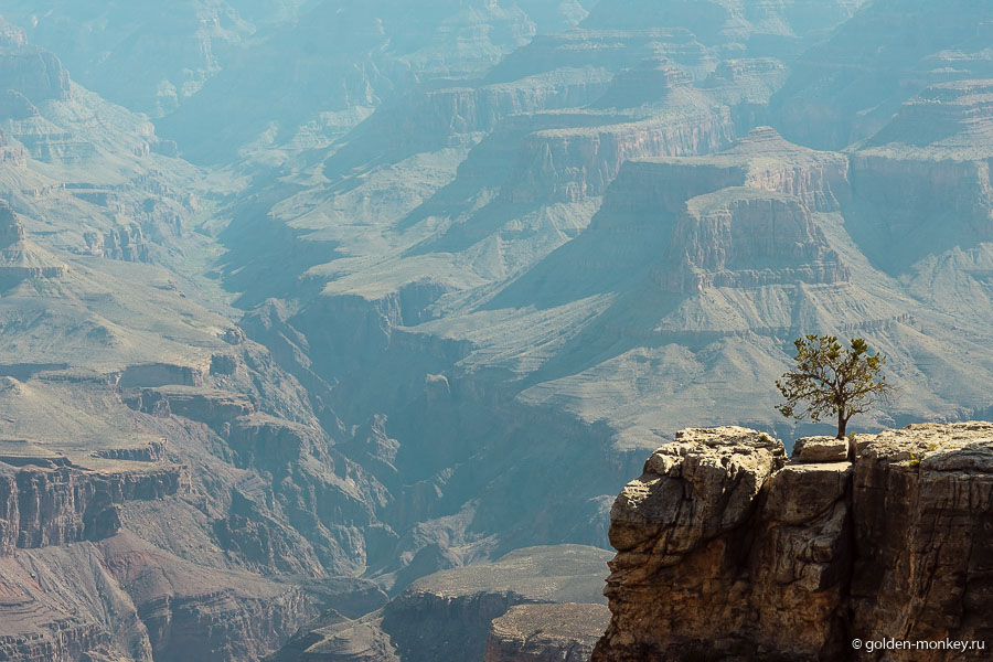 Масштаб Гранд-Каньона невозможно представить, пока не увидишь это чудо природы своими глазами. Особенно отчетливо начинаешь осознавать его великанские размеры на контрасте с мелочами. Только вдумайтесь – ширина каньона колеблется от шести до тридцати километров, а глубина – больше полутора километров. Про длину я вообще молчу – четыреста пятьдесят километров! Масштаб Гранд-Каньона невозможно представить, пока не увидишь это чудо природы своими глазами. Особенно отчетливо начинаешь осознавать его великанские размеры на контрасте с мелочами. Только вдумайтесь – ширина каньона колеблется от шести до тридцати километров, а глубина – больше полутора километров. Про длину я вообще молчу – четыреста пятьдесят километров!