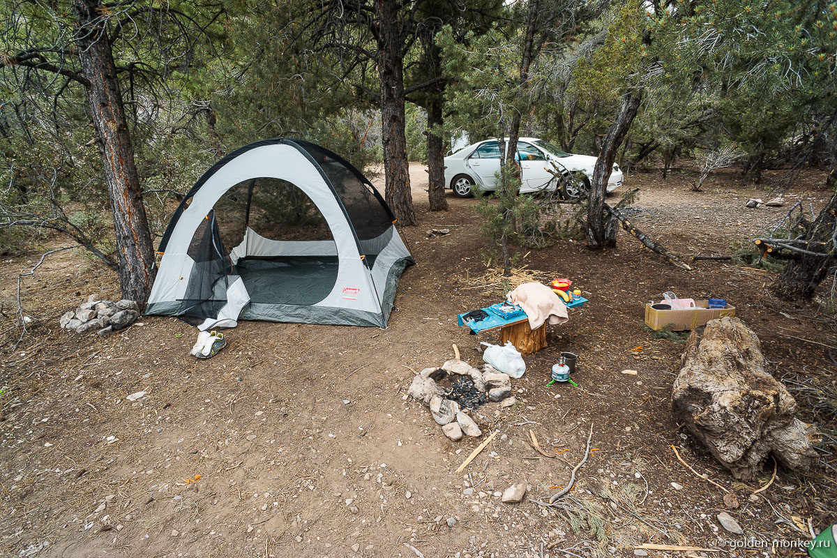 Бесплатное место в лесу Бесплатное место в лесу