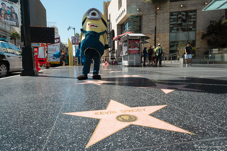 На сегодняшний день Walk of Fame – это огромный памятник культуры под открытым небом. Только представьте, здесь более 2500 звезд, рассыпавшихся ковром вдоль восемнадцати кварталов. В чем смысл этой аллеи? В том, чтобы увековечить достижения выдающихся людей в самых различных сферах индустрии развлечений – кино, музыка, шоу, радио, телевидение, театр. На сегодняшний день Walk of Fame – это огромный памятник культуры под открытым небом. Только представьте, здесь более 2500 звезд, рассыпавшихся ковром вдоль восемнадцати кварталов. В чем смысл этой аллеи? В том, чтобы увековечить достижения выдающихся людей в самых различных сферах индустрии развлечений – кино, музыка, шоу, радио, телевидение, театр.