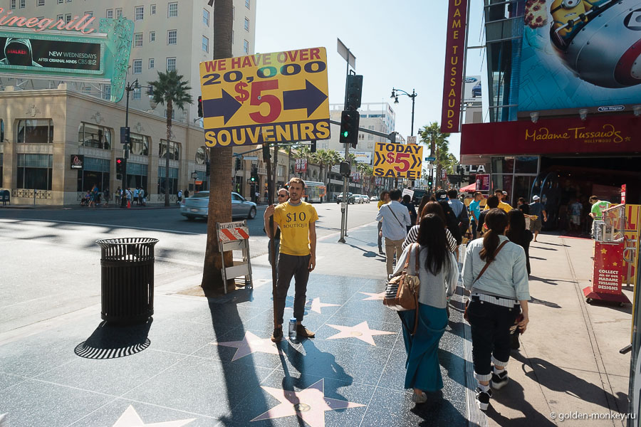 Также на Голливудском бульваре расположились музей восковых фигур Мадам Тюссо, театр Кодак, в котором вручают «Оскар», большой торговый центр и много чего еще. Также на Голливудском бульваре расположились музей восковых фигур Мадам Тюссо, театр Кодак, в котором вручают «Оскар», большой торговый центр и много чего еще.