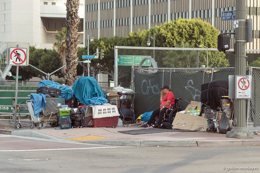 И такая сцена совсем не редкость – прямо посреди улицы, в самом сердце города. И такая сцена совсем не редкость – прямо посреди улицы, в самом сердце города.