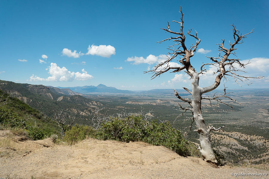 Вид на долину Монтесума с Montezuma Valley Overlook. Дерево отлично дополнило пейзаж, немного оживив его. Размах предстающей картины, конечно, впечатляющий, но несколько однотонный и не вызывающий большого восторга. Вид на долину Монтесума с Montezuma Valley Overlook. Дерево отлично дополнило пейзаж, немного оживив его. Размах предстающей картины, конечно, впечатляющий, но несколько однотонный и не вызывающий большого восторга.