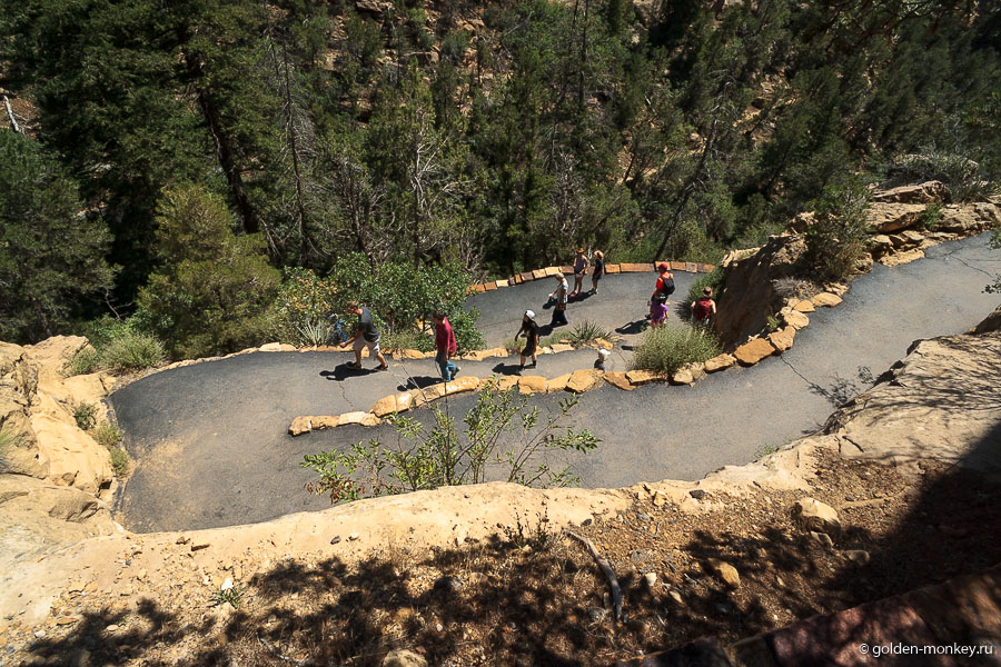 Так выглядит дорожка, ведущая к Spruce Tree House. По пути есть маленький водопадик и какие-то деревья с ядовитыми листьями, до которых лучше не дотрагиваться (предупреждающие таблички имеются). Так выглядит дорожка, ведущая к Spruce Tree House. По пути есть маленький водопадик и какие-то деревья с ядовитыми листьями, до которых лучше не дотрагиваться (предупреждающие таблички имеются).