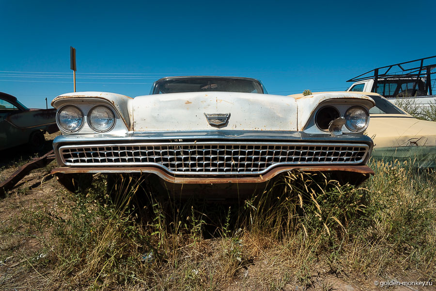 Глаза лишился, но обаяния не потерял )) Глаза лишился, но обаяния не потерял ))