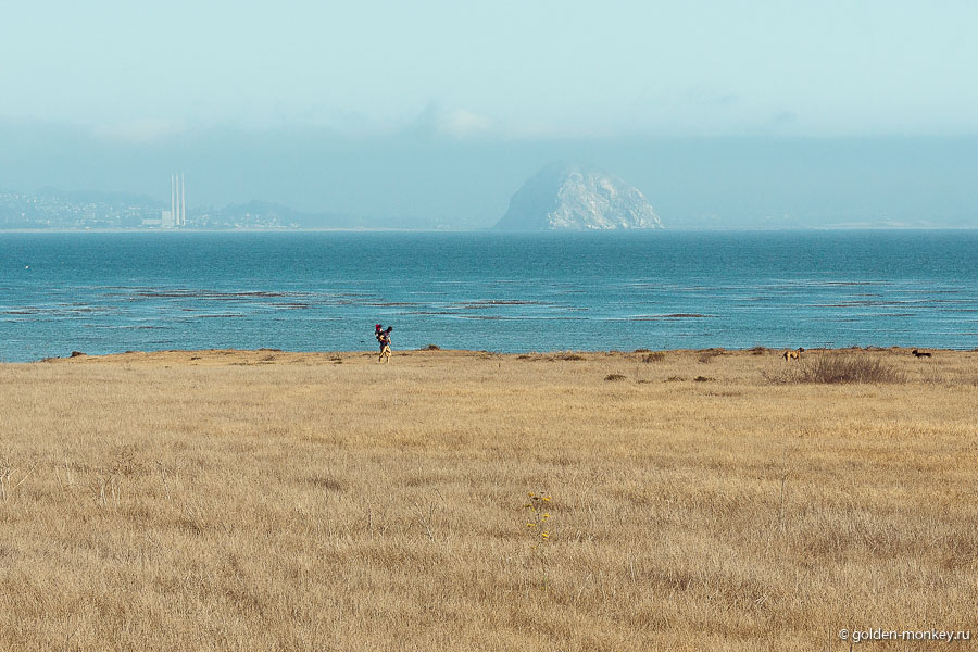 В предзакатные часы краски становятся особенно насыщенными, а атмосфера особенно романтичной. В предзакатные часы краски становятся особенно насыщенными, а атмосфера особенно романтичной.