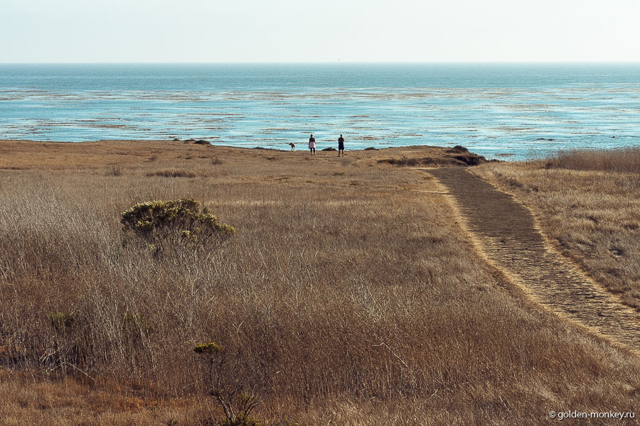Вдоль Тихоокеанского шоссе разбросано немало парков и заповедников, например, парк штата Морро-Бэй (Morro Bay State Park) или Estero Bay, национальный лес Los Padres или San Simeon– им нет конца и каждый богат на фантастические виды. Вдоль Тихоокеанского шоссе разбросано немало парков и заповедников, например, парк штата Морро-Бэй (Morro Bay State Park) или Estero Bay, национальный лес Los Padres или San Simeon– им нет конца и каждый богат на фантастические виды.