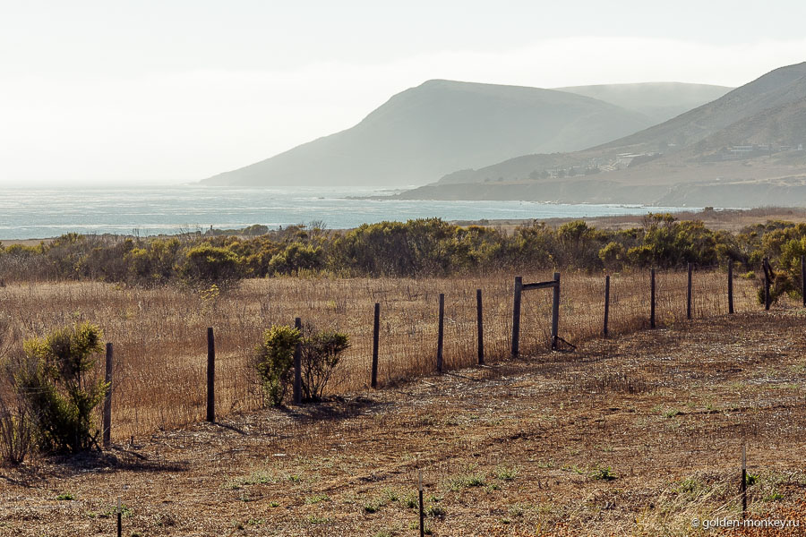 Жаль только вдоль побережья частенько встречаются заборы, которые портят общий вид и заодно не пускают к океану. Жаль только вдоль побережья частенько встречаются заборы, которые портят общий вид и заодно не пускают к океану.