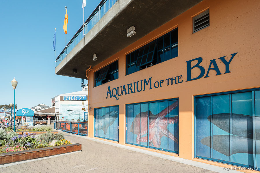 Так выглядит снаружи здание, в котором расположился Aquarium of the Bay Так выглядит снаружи здание, в котором расположился Aquarium of the Bay