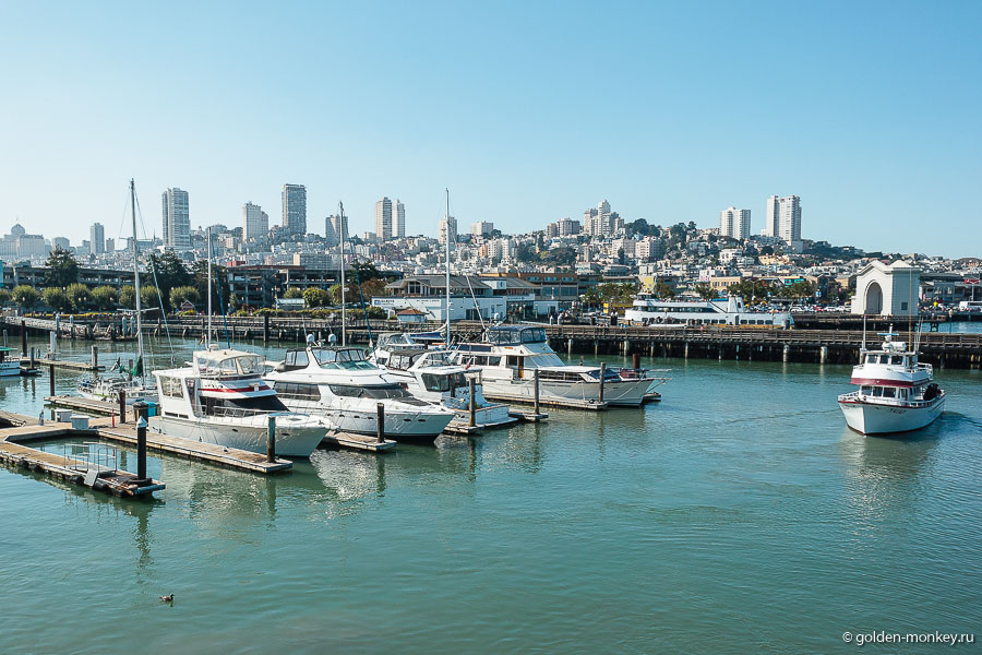 Вид на даунтаун с 39-го пирса Вид на даунтаун с 39-го пирса