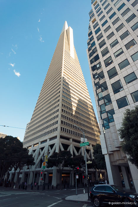  Пирамида Трансамерика (Transamerica Pyramid), Сан-Франциско